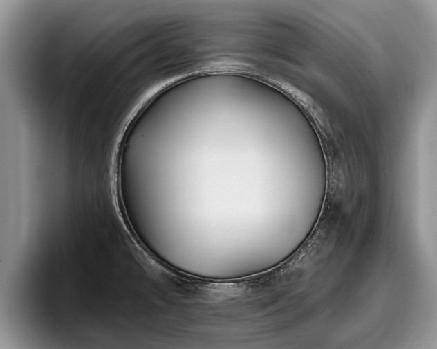 X0000095881478200801181155