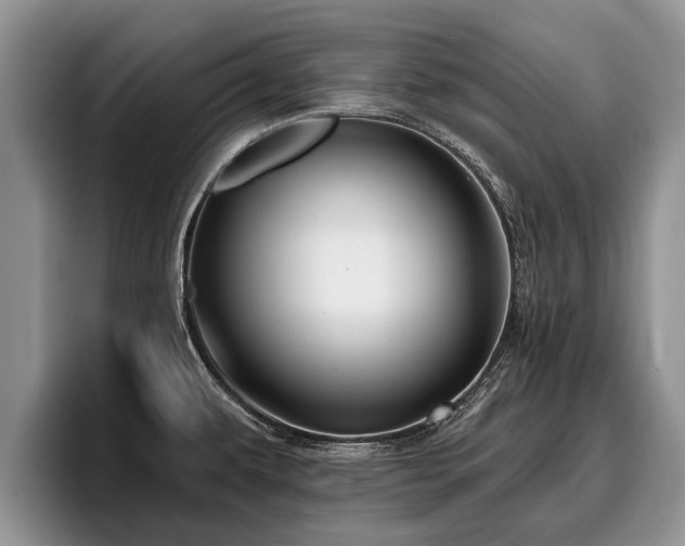 X0000095881479200801181155