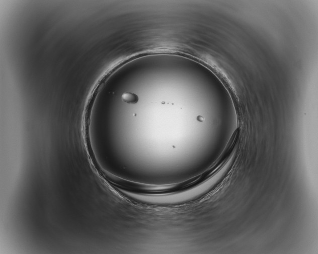 X0000095881480200801181155