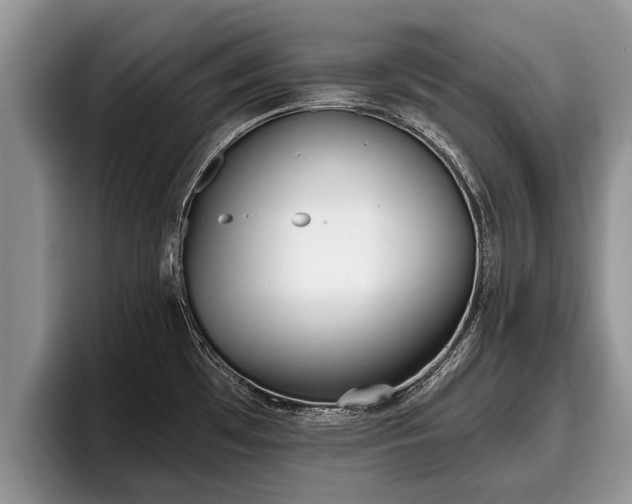 X0000095881481200801181155