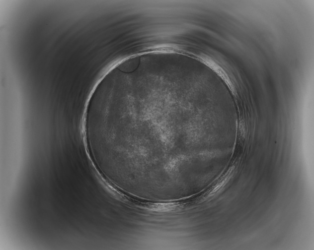 X0000095881482200801181155