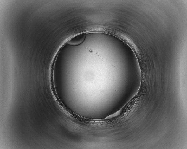 X0000095881483200801181155