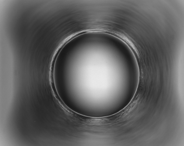 X0000095881485200801181155