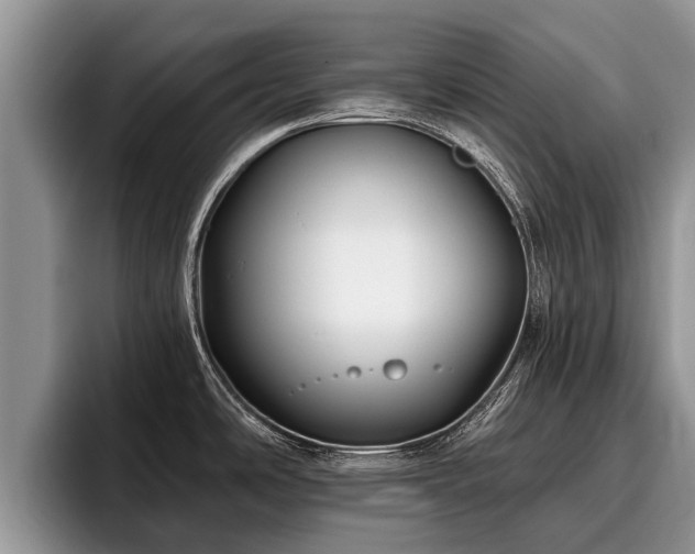 X0000095881486200801181155