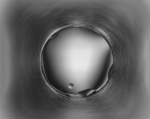 X0000095881487200801181155