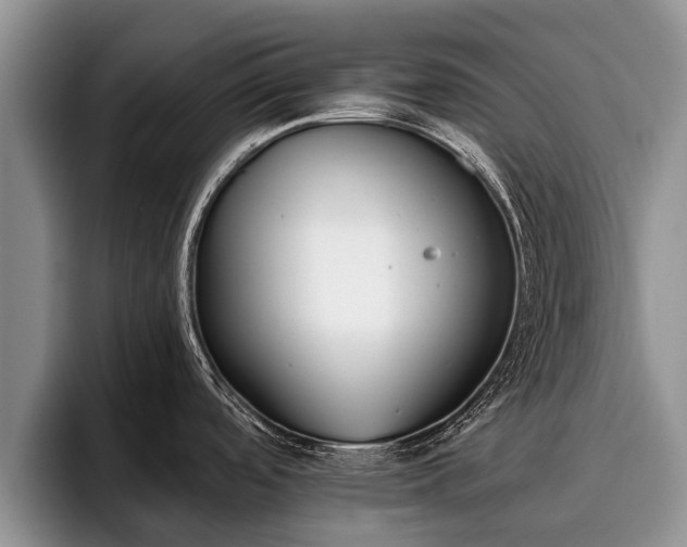 X0000095881488200801181155