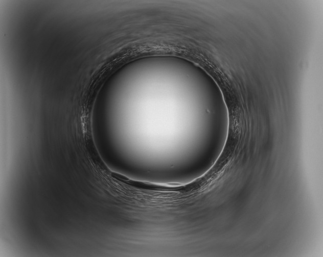 X0000095881490200801181155