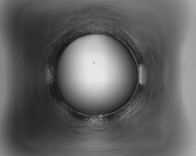 X0000095881491200801181155