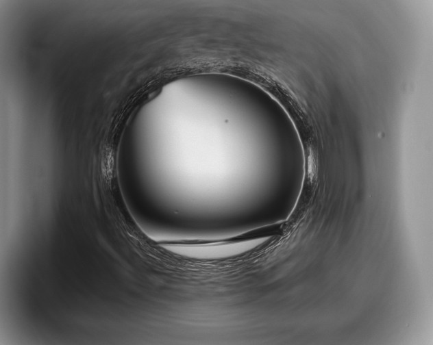 X0000095881492200801181155