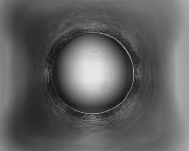 X0000095881493200801181155