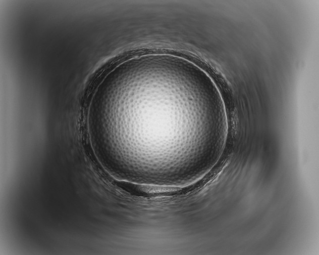 X0000095881494200801181155