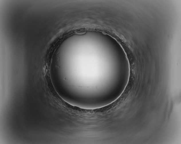 X0000095881495200801181155