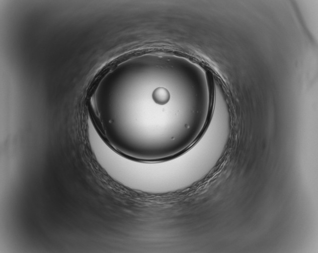X0000095881496200801181155