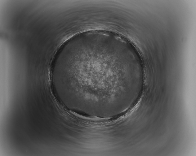X0000095881497200801181155