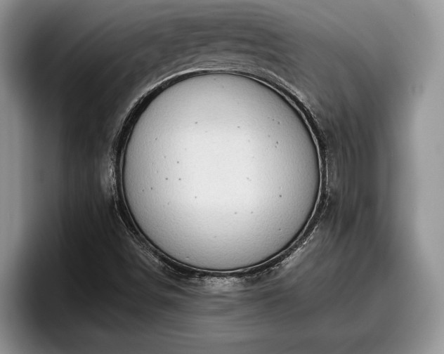 X0000095881498200801181155