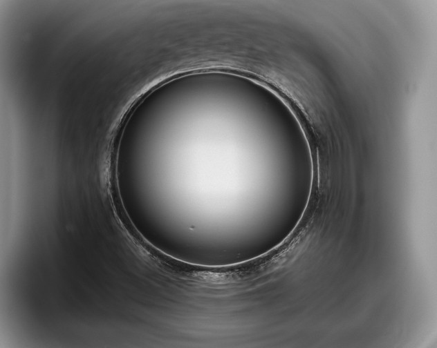X0000095881500200801181155