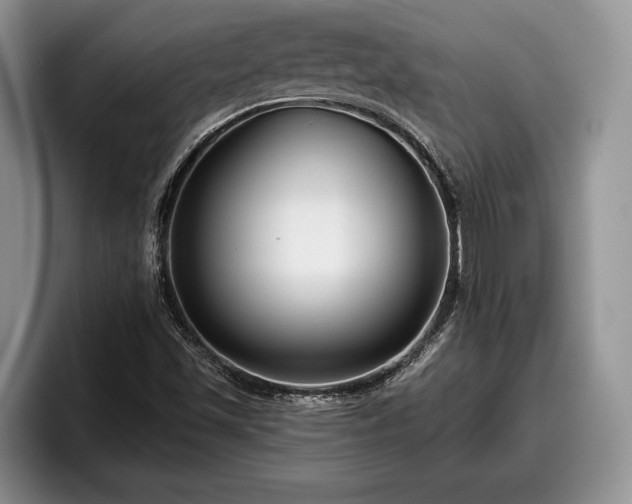 X0000095881501200801181155