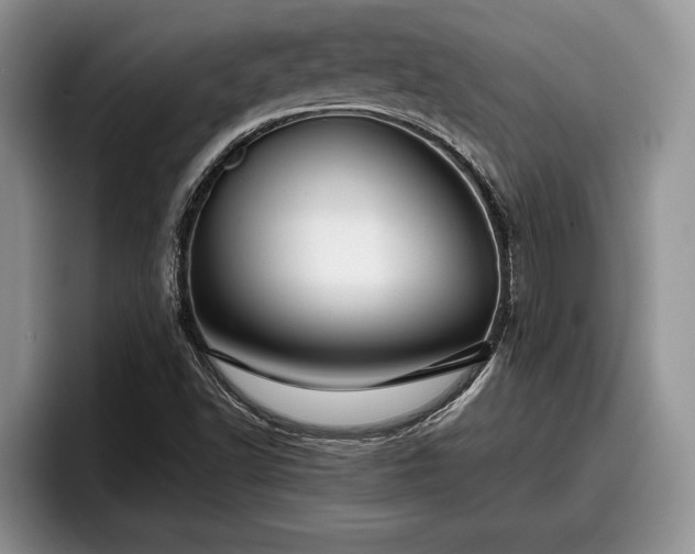 X0000095881502200801181155