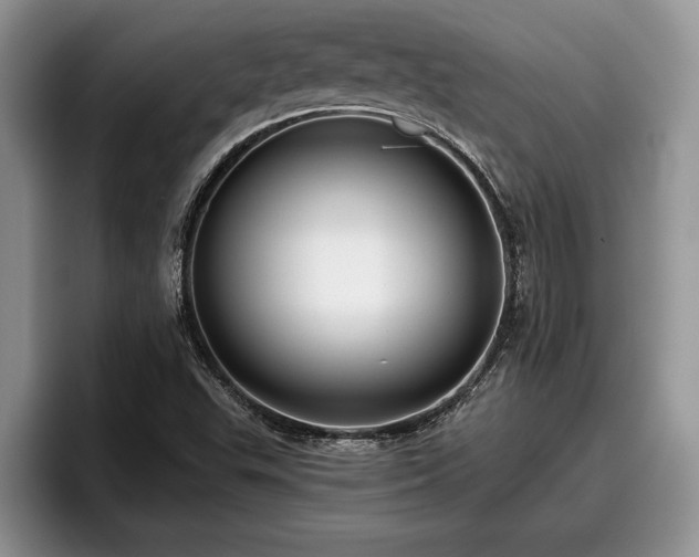 X0000095881503200801181155
