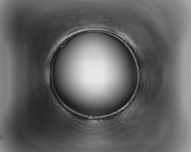 X0000095881504200801181155