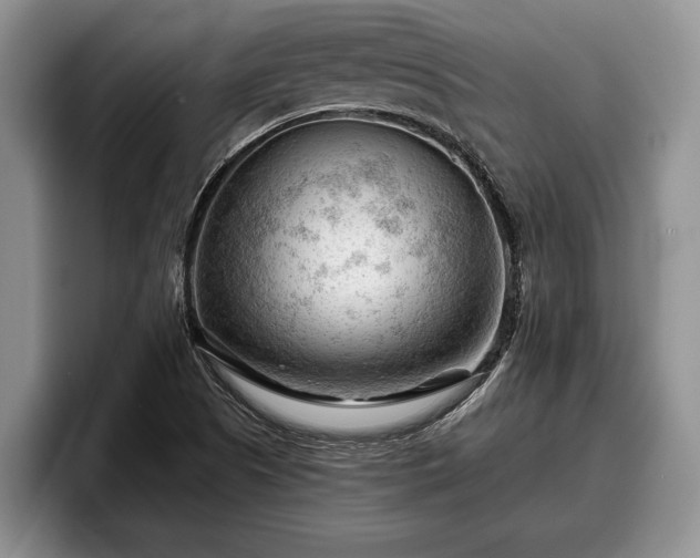 X0000095881505200801181155