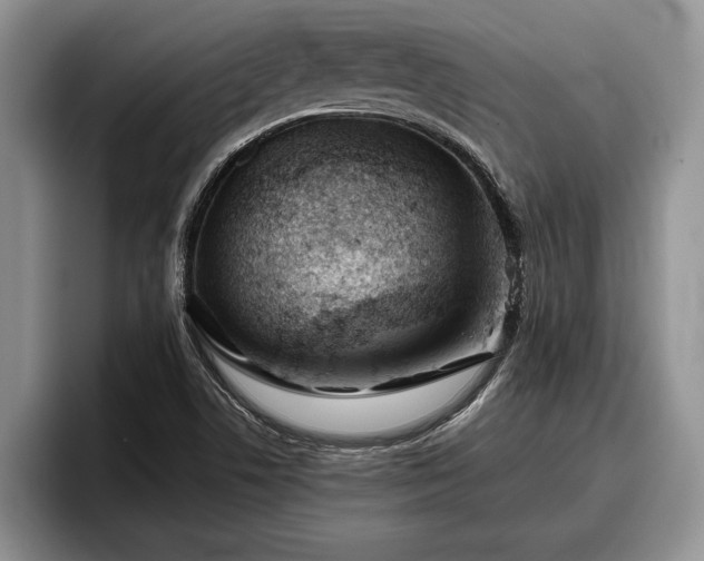 X0000095881506200801181155