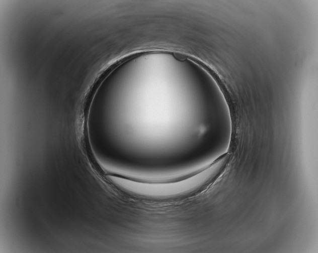 X0000095881507200801181155