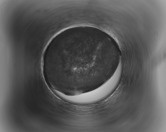 X0000095881508200801181155