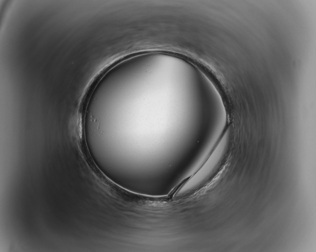 X0000095881509200801181155