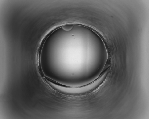 X0000095881510200801181155