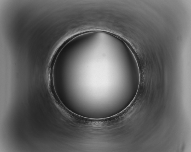 X0000095881511200801181155