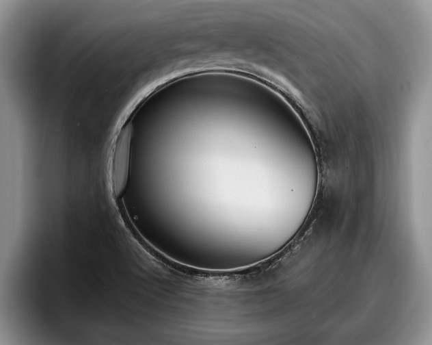 X0000095881512200801181155