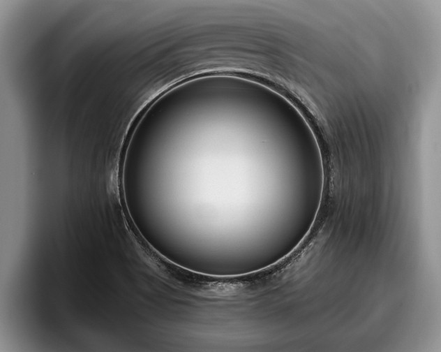 X0000095881513200801181155