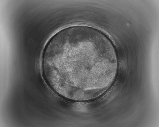 X0000095881514200801181155