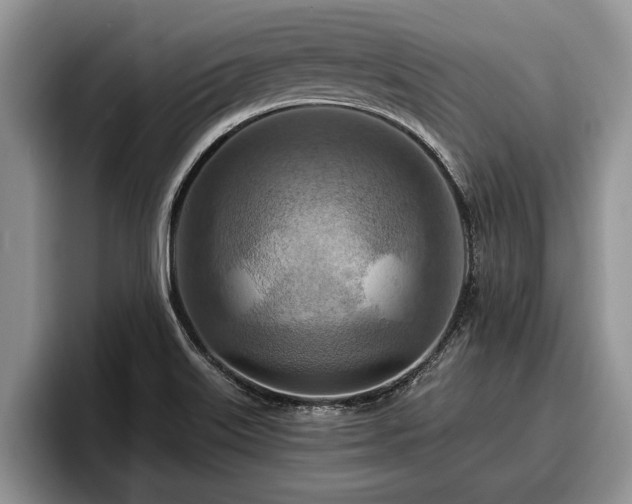 X0000095881515200801181155