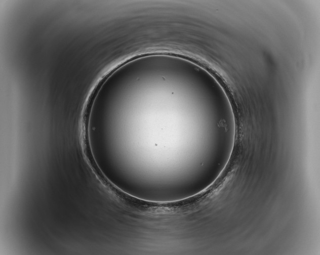 X0000095881517200801181155