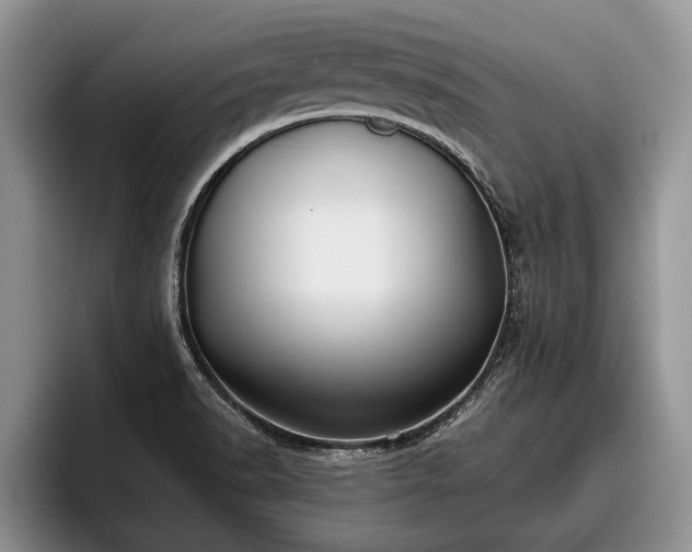 X0000095881518200801181155