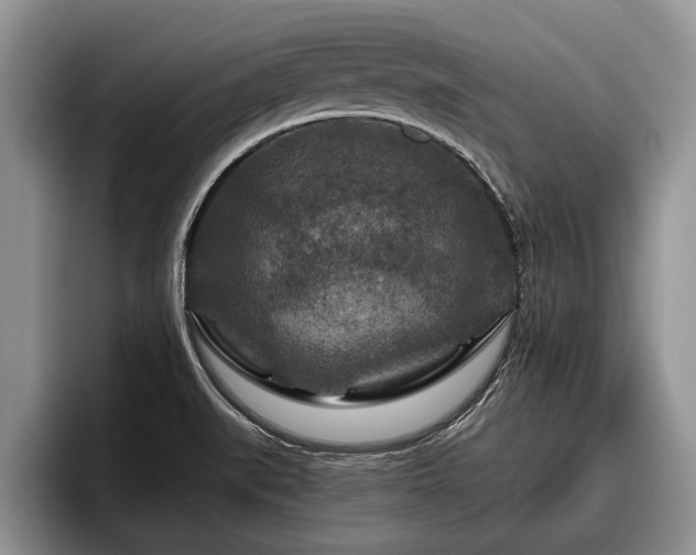 X0000095881519200801181155
