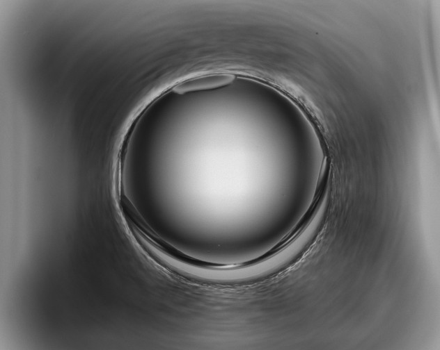 X0000095881520200801181155