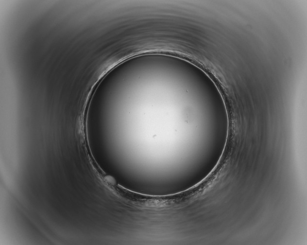 X0000095881521200801181155
