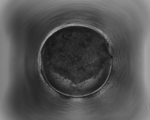 X0000095881522200801181155