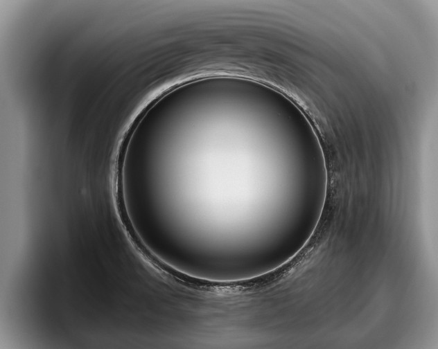 X0000095881523200801181155