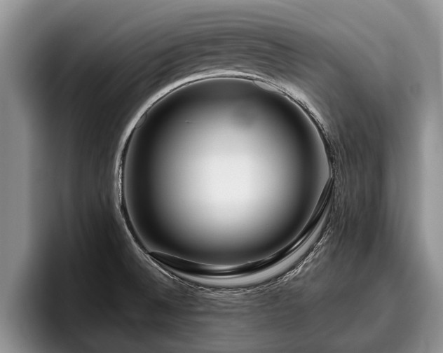 X0000095881524200801181155