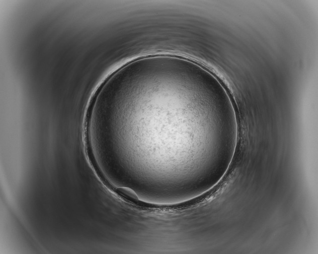 X0000095881525200801181155