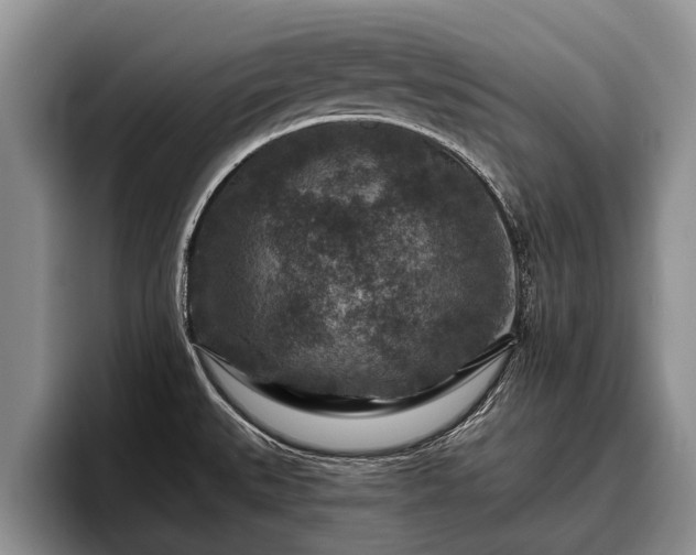 X0000095881527200801181155
