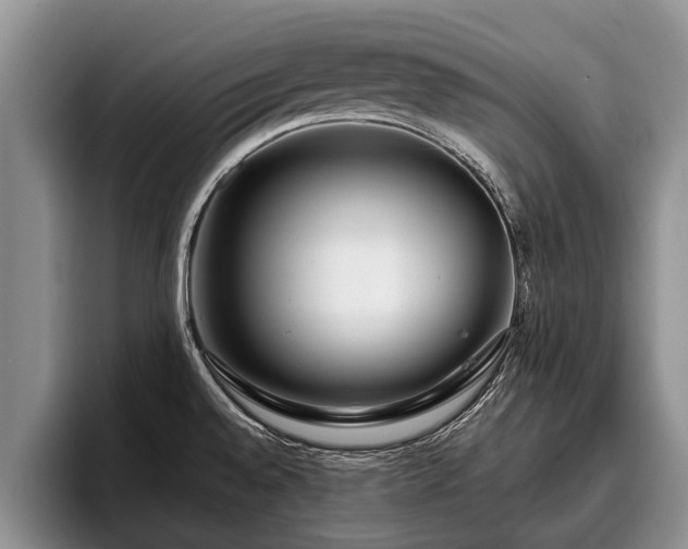 X0000095881528200801181155