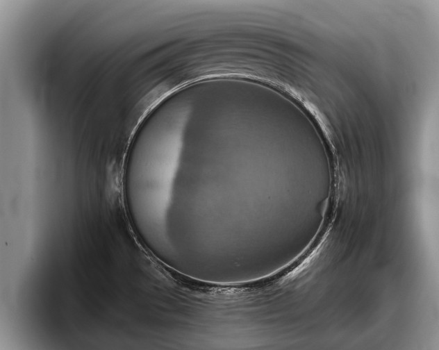 X0000095881529200801181155