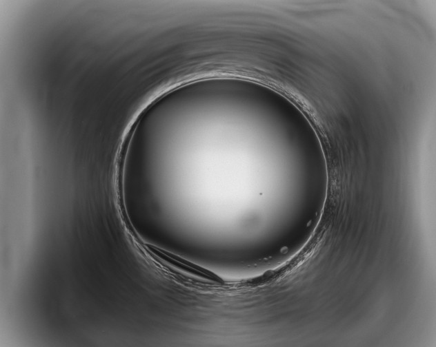 X0000095881530200801181155