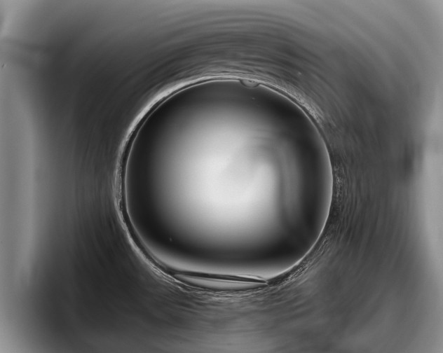 X0000095881531200801181155
