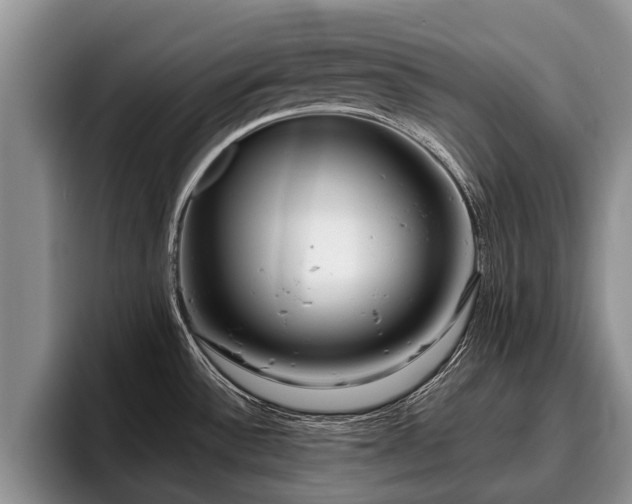 X0000095881532200801181155